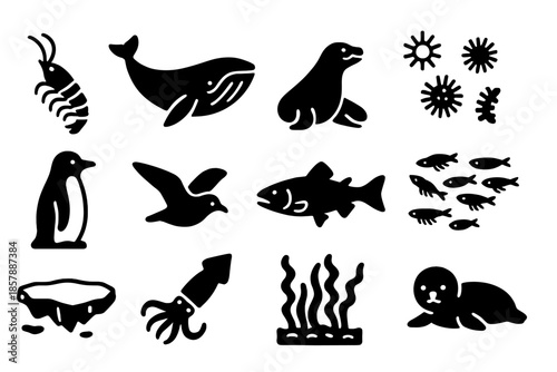 Antarctic Food Web Icons. Solid style icons of Antarctic food web: krill, baleen whale, leopard seal, phytoplankton, emperor
