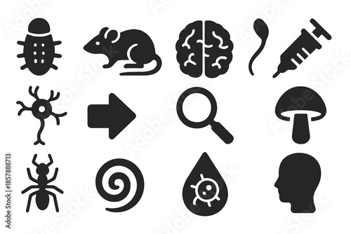 Neuroparasitology Icons Collection. Solid style icons of neuroparasitology and host manipulation: parasite, rat, brain, syringe,