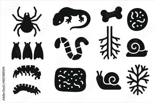 Subterranean Life Icons. Solid style icons of Subterranean Life: Cave Spider, Salamander, Fossil Bone, Bat Colony, Worm, Root