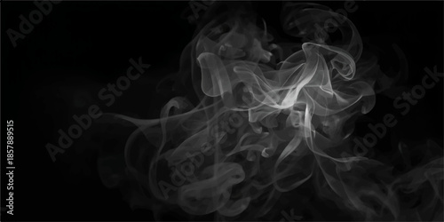 Smooth abstract blue smoke waves and swirling white patterns flow gracefully against a dark black background creating an artistic motion design of smoky light