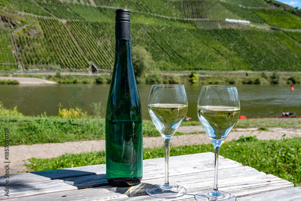 Obraz premium Drinking German dry white riesling wine with view on terraced vineyards in Punderich wine willage on Moselle river valley, wine making industry in Germany, glasses of wine