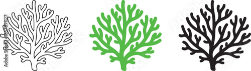 Illustrated Coral Reef Designs in Black White and Green
