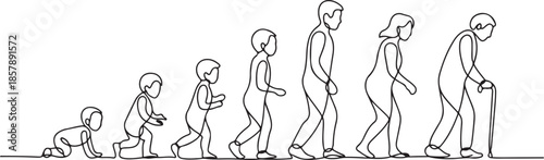 Continuous one line drawing showing human life evolution from crawling baby to elderly with cane. one line Art icon drawing