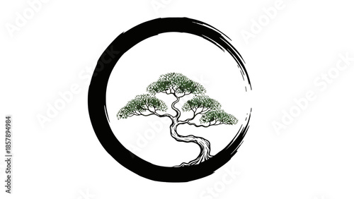 Green Bonsai Tree in Black Enso Zen Circle Brush Stroke on Isolated White Background