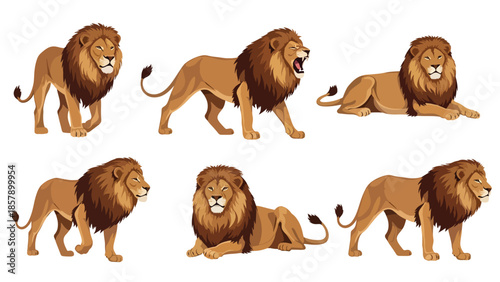 Modern vector illustration of lion in six poses including roaring and resting, flat wildlife pose set isolated on white background, ideal for education and branding