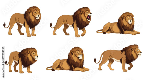 Modern vector illustration of lion in six poses including roaring and resting, flat wildlife pose set isolated on white background, ideal for education and branding