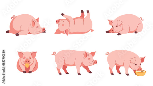 Modern vector illustration of pig in various poses, playful flat farm animal set isolated on white background, ideal for kids, food, and agriculture designs