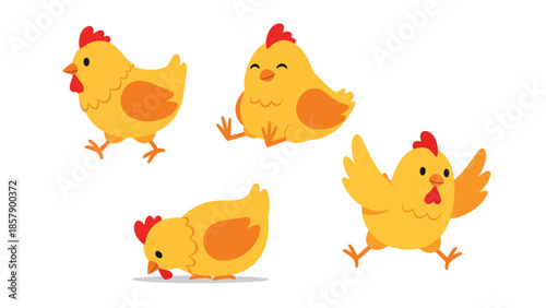 Modern vector illustration of chicken in various poses, flat farm bird set isolated on white background, ideal for agriculture, food, and kids designs