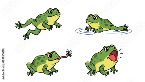 Modern vector illustration of frog in various poses, playful flat amphibian set isolated on white background, ideal for kids, education, and nature theme