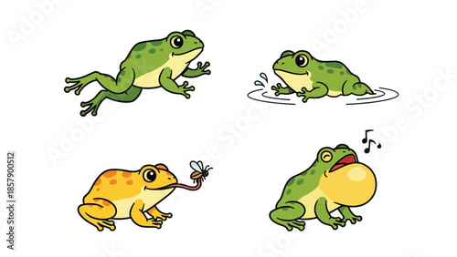 Modern vector illustration of frog in various poses, playful flat amphibian set isolated on white background, ideal for kids, education, and nature theme