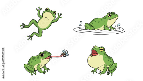 Modern vector illustration of frog in various poses, playful flat amphibian set isolated on white background, ideal for kids, education, and nature theme