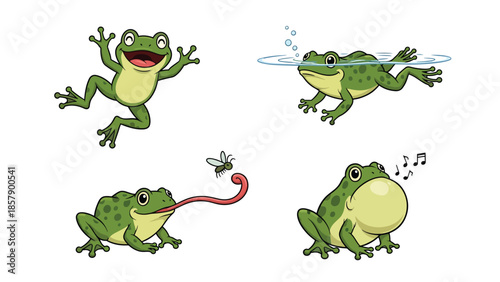 Modern vector illustration of frog in various poses, playful flat amphibian set isolated on white background, ideal for kids, education, and nature theme
