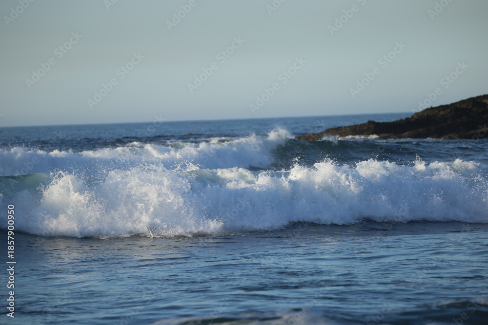 Fototapeta premium Temporal de mar 