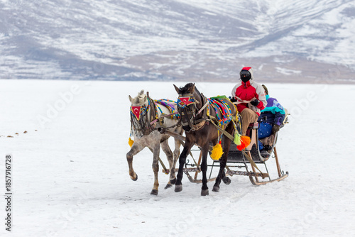 A scenic winter view of traditional horse-drawn sleighs traveling across the thick ice of frozen Lake Cildir. A popular tourist activity in Kars, Turkey, during the cold winter season.