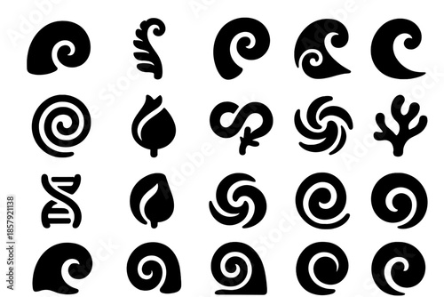 Natural Spiral Icons. Solid style icons of Natural Spiral Form: seashell curl, fern coil, ram horn, wave crest, spiral pattern,