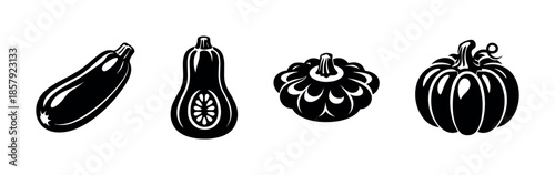 Vegetable vector icons set: squash, food, autumn harvest symbols