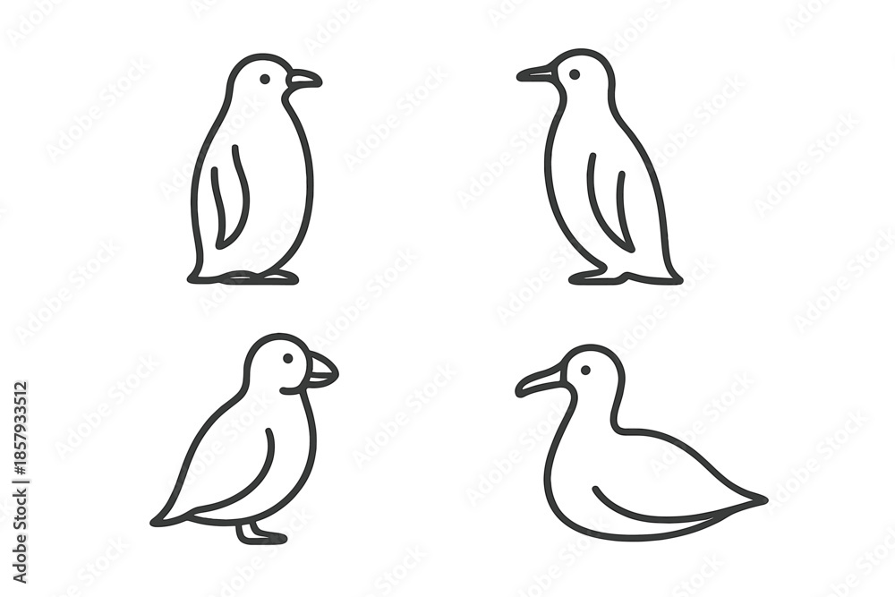 Fototapeta premium Polar Bird Icons. Line style icons of Polar Birds: soft body arc, gentle flipper line, subtle beak, curved outline, smooth belly