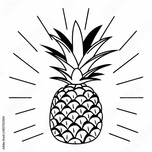 Minimalist Pineapple Fruit Illustration