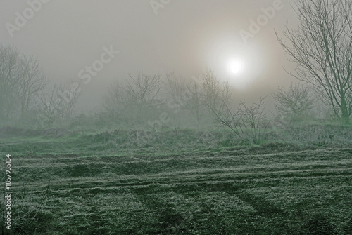 Sunrise on a foggy winter day