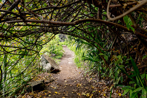 Mafate Circus Galets river and mountains in Reunion Island in Indian Ocean