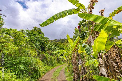Mafate Circus Galets river and mountains in Reunion Island in Indian Ocean