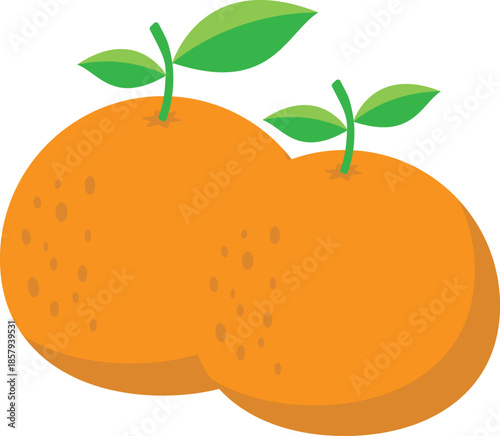 Two Orange Fruits with Green Leaves Illustration