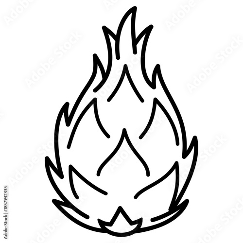 Dragon Fruit Simple Illustration 