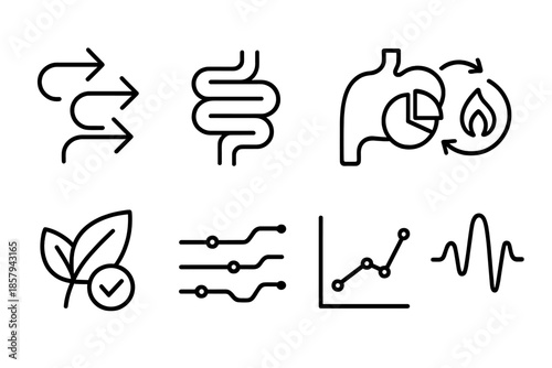 Digestive System Icons. Line style icons of digestive tracking systems: arrow flow, intestine path, stomach chart, metabolism ring
