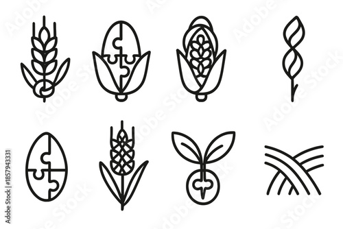 Grain Puzzle Icons. Line style icons of grain-based logical puzzles: knotted ear, divided kernel, looped husk, twisted grain,