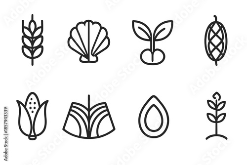 Contradictory Harvest Icons. Line style icons of contradictory harvest structures: dual grain, paradox shell, divided sprout,