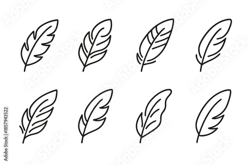 Feathered Fold Icons. Line style icons of feathered fold indicators: light contour, curved pattern, layered pleat, smooth arc,