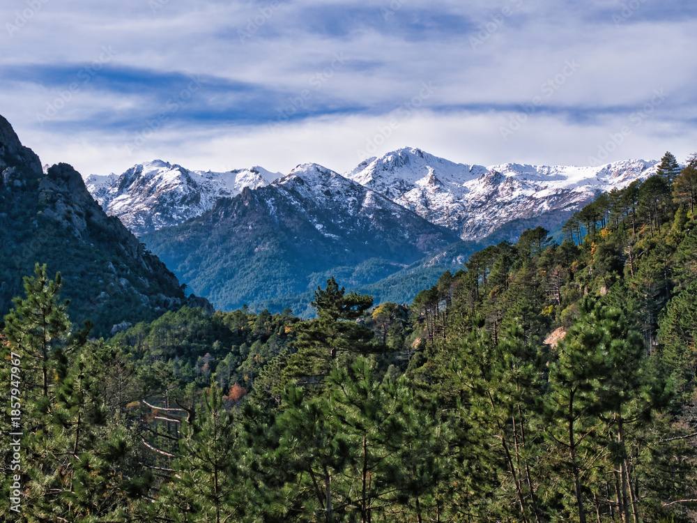 Obraz premium Montagne innevate in corsica