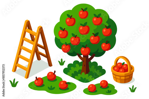 Apple Harvest Scene. Isometric vector illustration set Apple Orchard Ladder: wooden orchard ladder, apple-laden tree, tiny basket,