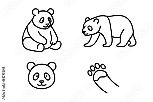 Panda Line Icons. Line style icons of Panda: sitting panda, walking panda, panda face, round ears, gentle paw, soft belly curve.