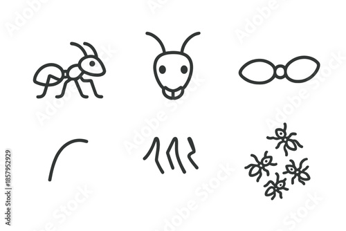 Ant Line Icons. Line style icons of Ant: walking ant, ant head, segmented body, antenna curve, tiny legs, small colony form. No