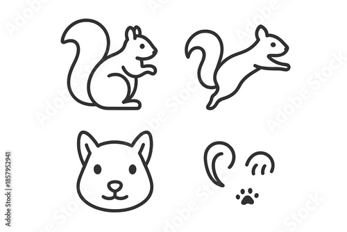 Squirrel Line Art Icons. Line style icons of Squirrel: sitting squirrel, jumping squirrel, squirrel face, curved tail, tiny paws,