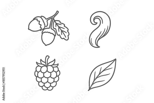 Woodland Elements Icons. Line style icons of Woodland Elements: nut cluster, curved tail hint, small forest fruit, gentle seed