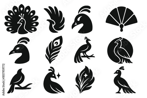 Exotic Bird Icons. Solid style icons of Exotic Bird Display: spreading tail, wing tip, curved crest, open fan, beak curve, neck