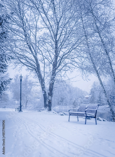 winter in the park
