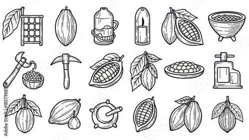 Cocoa elements vector set illustrations of pods leaves tools and objects