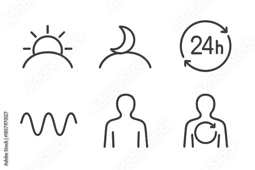 Circadian Cycle Icons. Line vector icons of circadian balance: sun arc, moon arc, 24h ring, rhythm stripe, body outline, internal