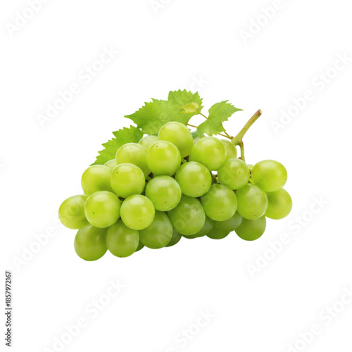 Small bunch of green grapes