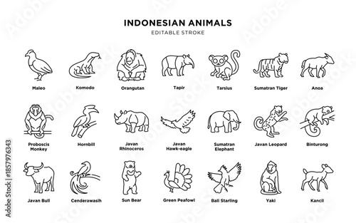 Illustrations of Indonesian animals with editable stroke