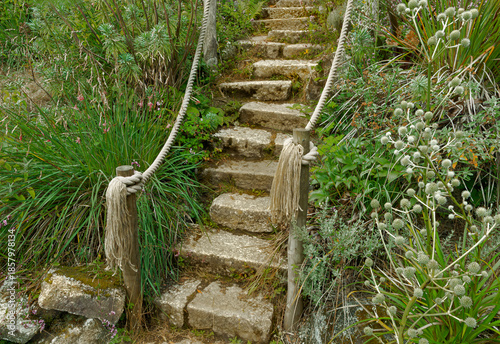 Steps with a hand rail made of rope in a busy garden