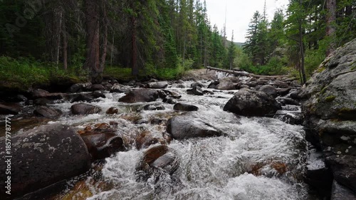 Broad forest waterfall spreading across rocks in a shaded glen nearby forest 