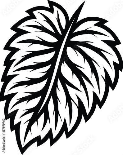 Green Leaf Texture Natural Background