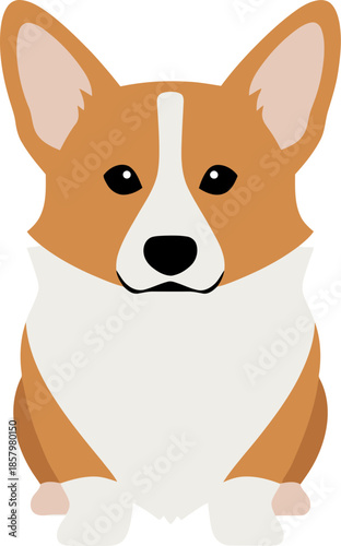 Adorable Pembroke Welsh Corgi dog sitting in a flat vector style.