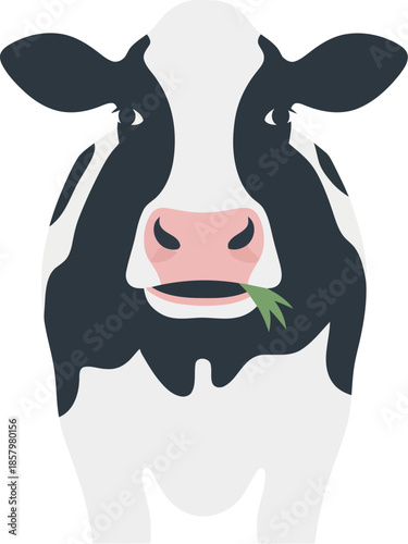 Cute black and white cow face chewing grass vector illustration.