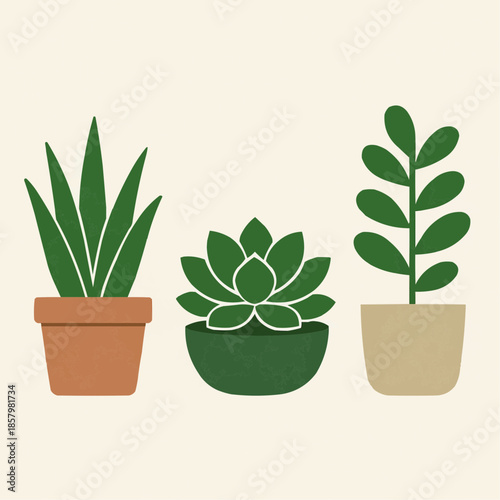 Succulent Plant Collection Flat Vector Icons