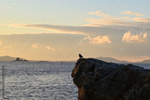 羽豆岬から見る日の出の風景